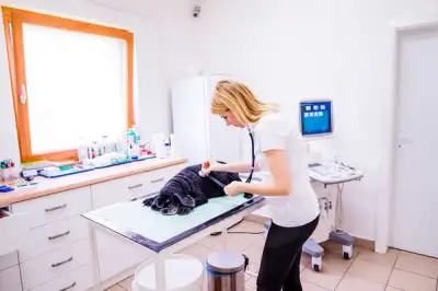 Image for 10 Skills That Aren’t Being Automated