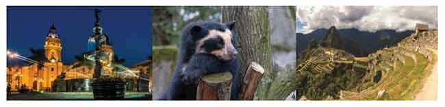 Paddington Bear exploring Peru's landscapes and culture - Global Banking & Finance Review