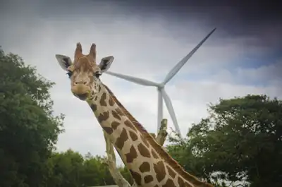 Image for PUBLIC SHARE ISSUE IN UK’S MOST WIDELY-OWNED RENEWABLE ENERGY COMPANY, TRIODOS RENEWABLES