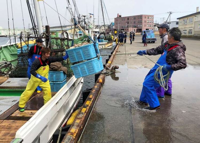 Image for For Japanese fishing town of Nemuro, Moscow holds key to survival