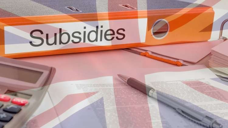 Subsidies in the UK: what Brexit means for State support