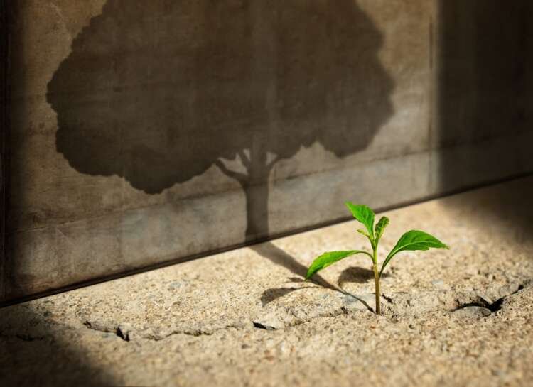 New green sprout emerging from cracked concrete, symbolizing resilience in the beauty industry during economic downturn - Global Banking & Finance Review