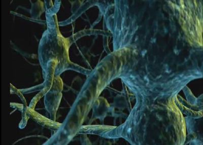 Neuronal Network