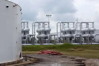 Image for Oil falls after U.S. gasoline inventories unexpectedly surge