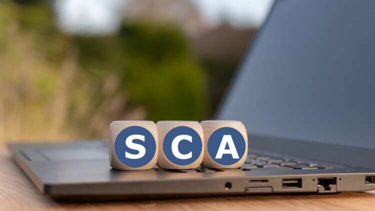 SCA has been delayed again…now what?