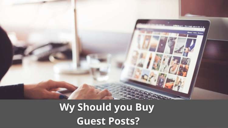 Why should you Buy Guest Posts