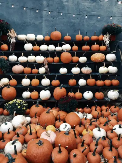 Image for Electric Self Balancing Scooter Market to Witness Robust Expansion and Trends by 2027 – Aerlang, CHIC, INMOTION