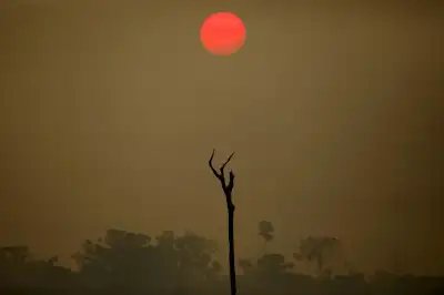 Image for EU delays deforestation ban but discards changes