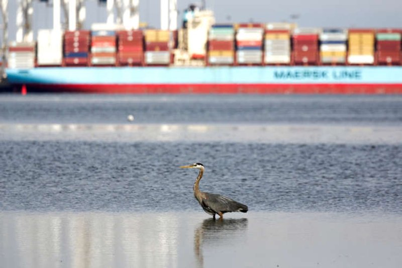 Image for Maersk plans world’s first carbon-neutral container ship in 2023