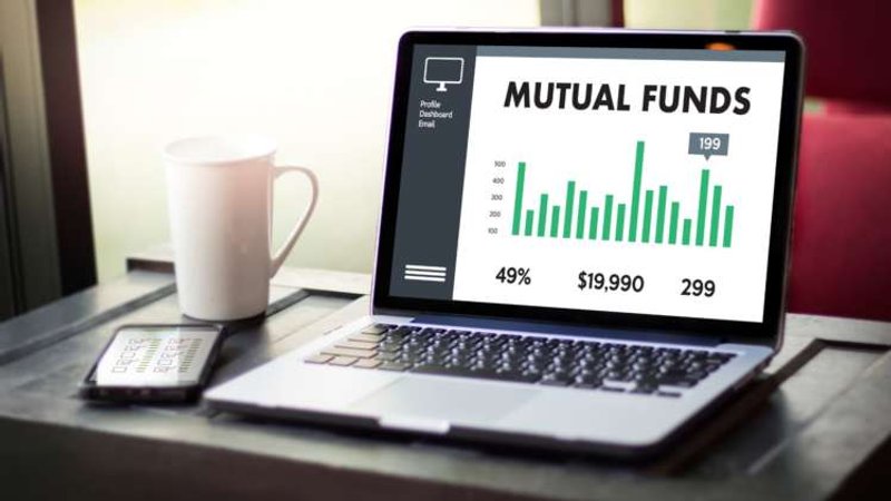 Image for Effect on positions concentration in the top ranked US mutual fund during 2020