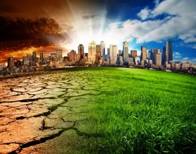 Image for The banking industry in a changing climate – financing the low-carbon transition