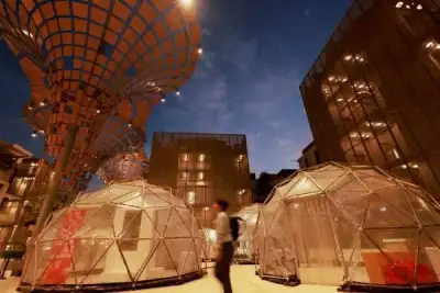 Image for How the world agreed to move away from fossil fuels at COP28