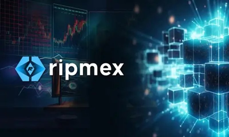 Image for Ripmex Debuts RPX Tokens PreSale: Commission-Free Trading for a New Financial Era