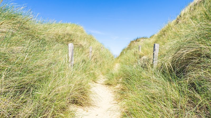 Image for Elon Musk's net worth tops $400 billion, Forbes billionaires list shows