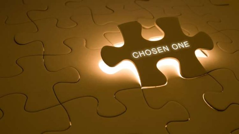 Image for The chosen one