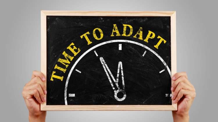 Image for Time for the adaptive profession – APM reveals findings of its Projecting the Future report