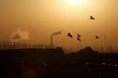Image for Analysis-Europe faces sceptical globe with carbon border levy
