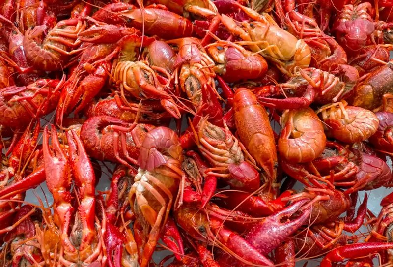 Image for Running a small business requires perseverance, resilience and luck: A Crayfish Company’s Journey