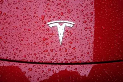 Image for Tesla braces for earnings hit, but EV delivery outlook is key