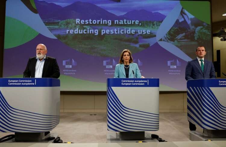 Image for EU seeks to halve use of pesticides, heal nature with landmark laws