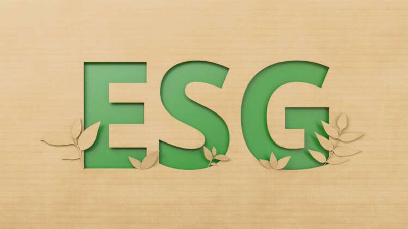 Image for What’s needed for ESG investing to go mainstream?