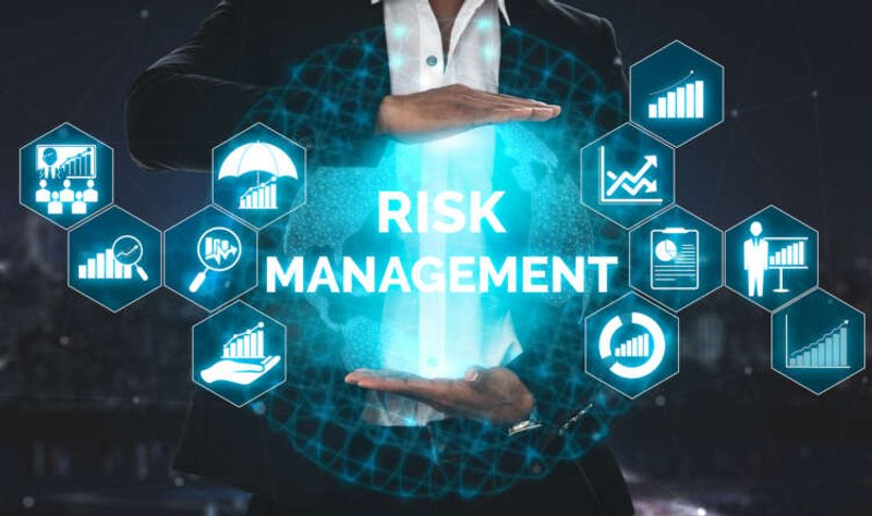 Image for The Scope and Complexities of Risk Management in Financial Services