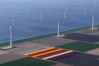 Image for Dutch wind farm blows away opposition as ‘new millers’ get a stake