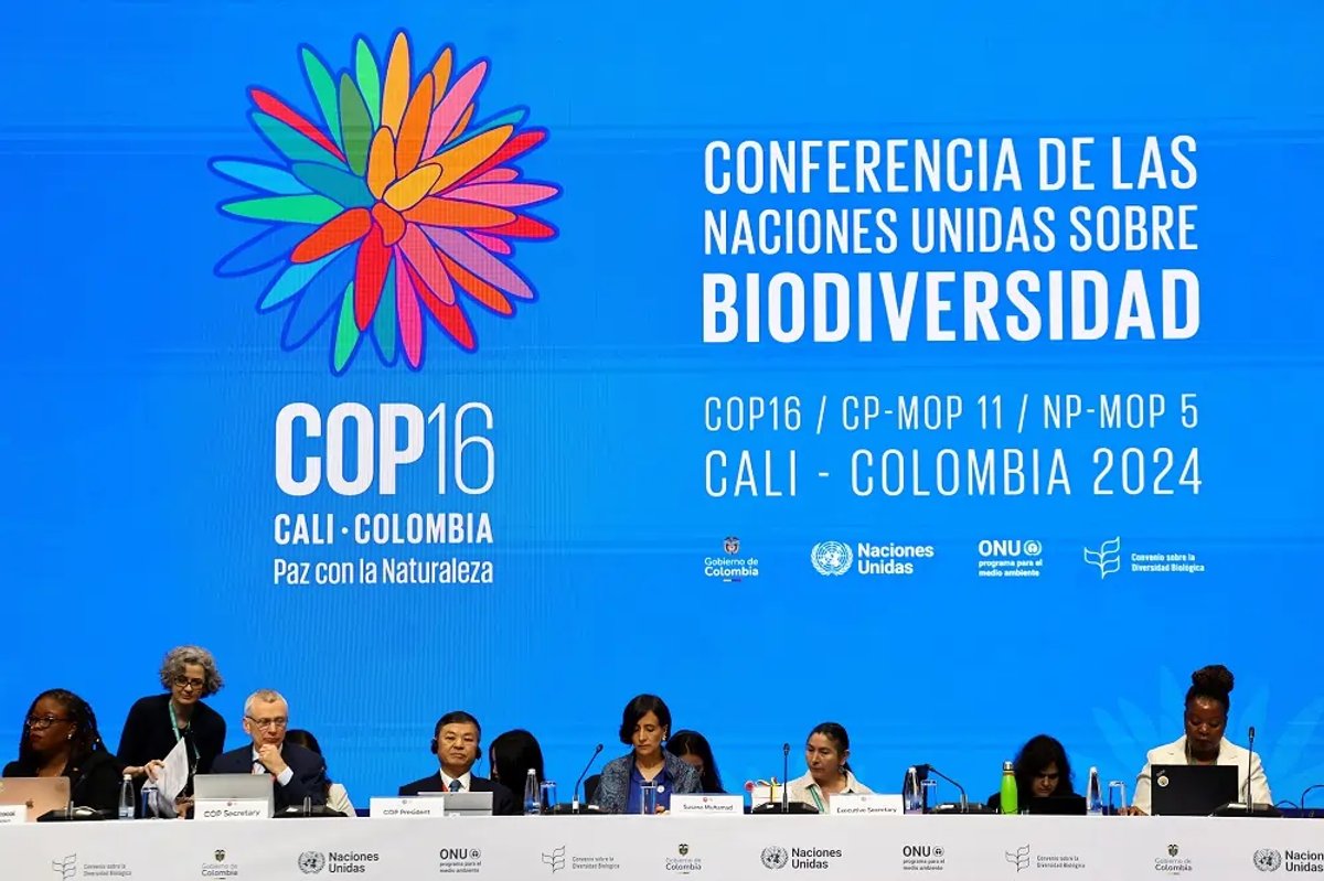 Delegates discussing conservation funding at UN COP16 biodiversity summit - Global Banking & Finance Review