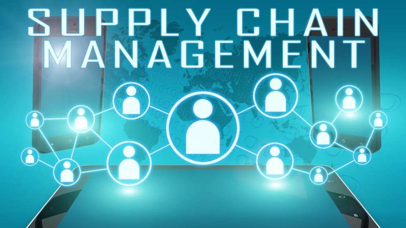 Image for The impact and potential of AI in supply chain management