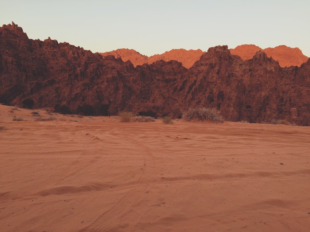 Consumers engaging in rental services for luxury items in China - Global Banking & Finance Review