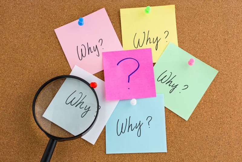 Image for Why do you need WhatsApp as a Customer Service Channel?