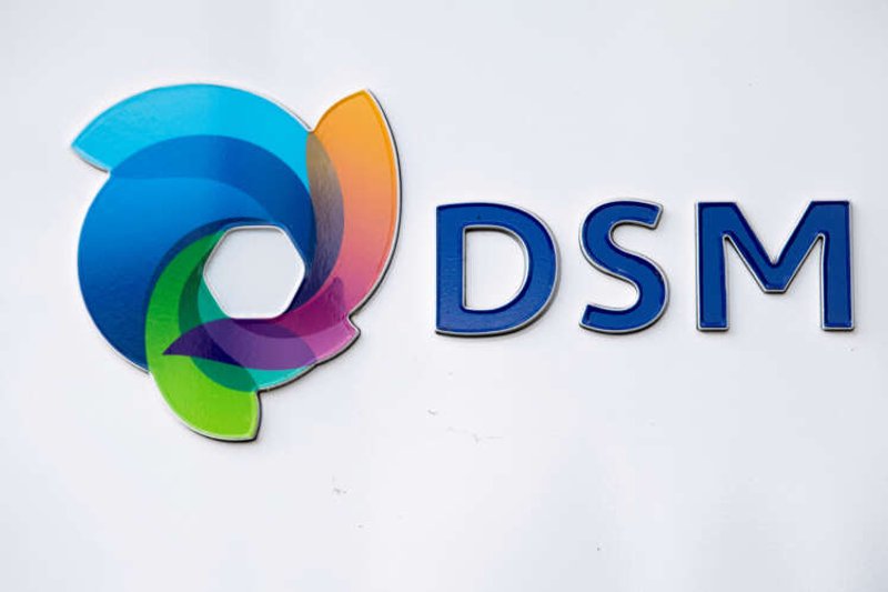 Image for Dutch chemicals group DSM cuts profit target as costs soar