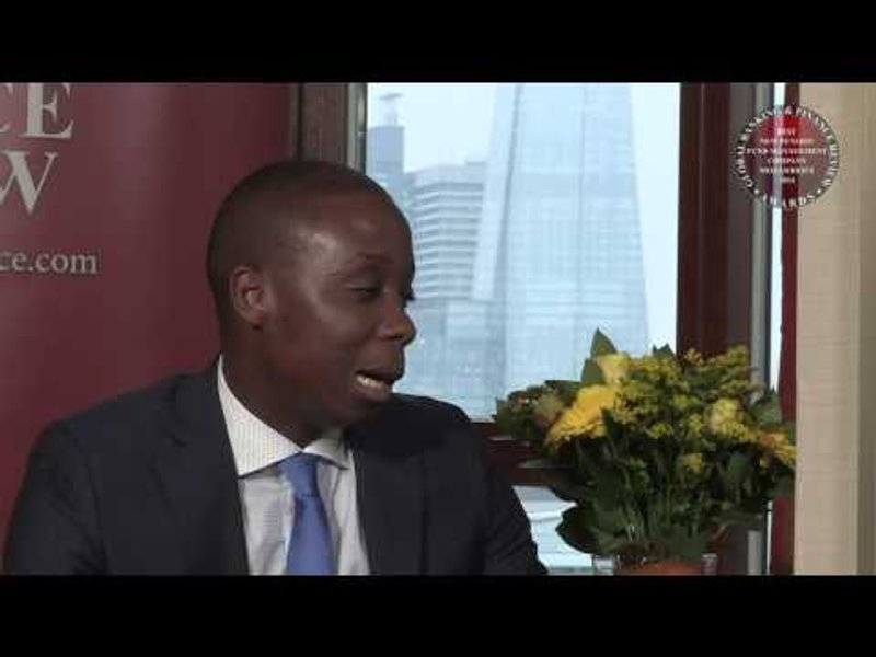 Image for The Pension Fund Industry in Mozambique