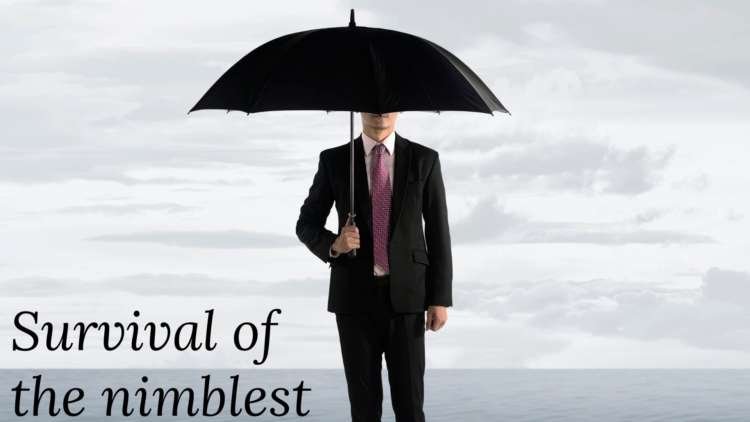 Image for Survival of the nimblest: manufacturers that adapt will outmanoeuvre the competition in 2021