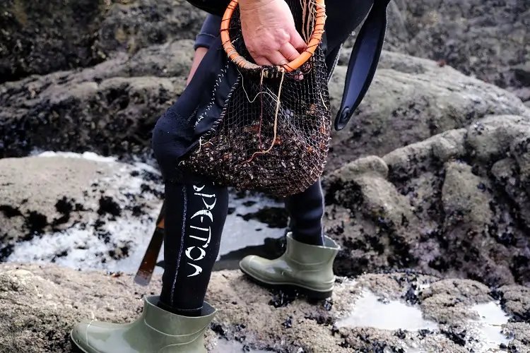 Wetsuit-clad fishermen harvesting barnacles on Costa da Morte - Global Banking & Finance Review