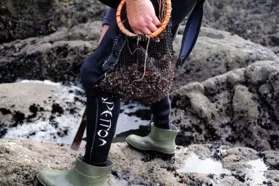 Image for The barnacle, Spaniards’ favourite Christmas dish, imperilled by climate change