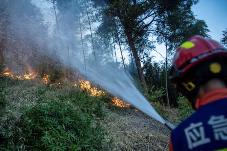 Image for China battles forest fires as fears linger over harvest