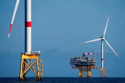 Image for Europe struggling to meet offshore wind targets, industry heads and lawmakers say