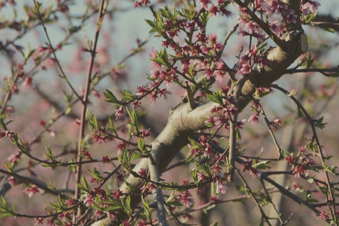 Illustration of Ipsos and Kantar Media logos representing potential acquisition talks - Global Banking & Finance Review