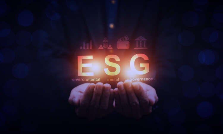 Image for Is ESG investing becoming the new norm? An insight into ESG investing and what this means for the future of business