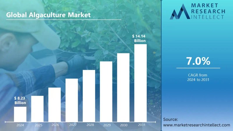 Image for Global Algaculture Market Set to Surge to $14.14 Billion by 2031, Driven by Rising Demand for Sustainable Food and Feed Solutions