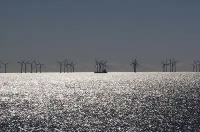Image for Denmark to halt offshore wind tenders to revamp subsidy model
