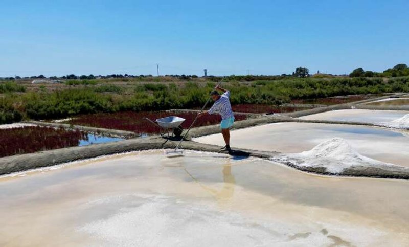 Image for The unwitting winners of France’s drought: salt farmers