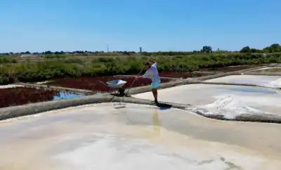 Image for The unwitting winners of France’s drought: salt farmers