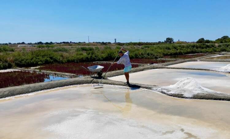 Image for The unwitting winners of France’s drought: salt farmers