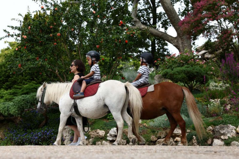 Image for Paris bans pony rides for children following animal rights campaign