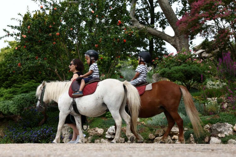 Pony rides in Paris parks banned due to animal rights campaign - Global Banking & Finance Review