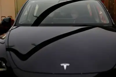 Image for Tesla begins sale of cheaper Model Y vehicle in South Korea