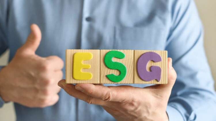 Image for Businesses should not wait for regulators to spell out ESG standards