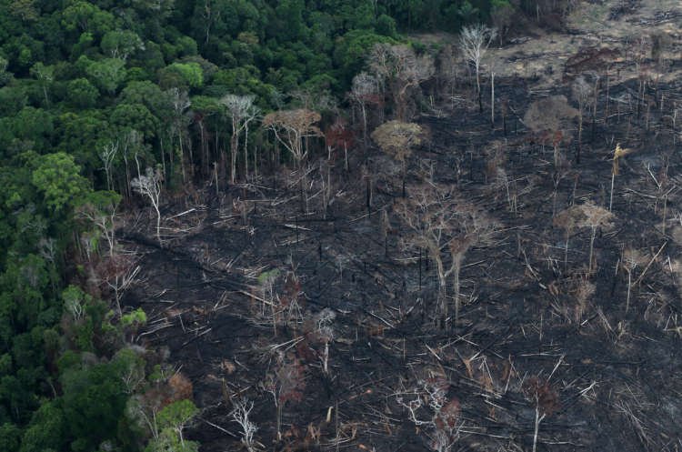 An aerial view of a tract of Amazon jungle after it was cleared by farmers in Itaituba